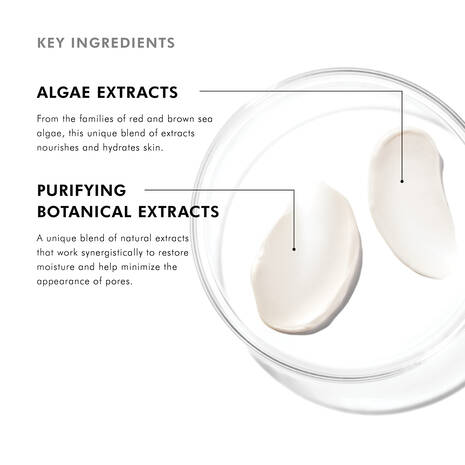 Skin Ceuticals Daily Moisture 60ml